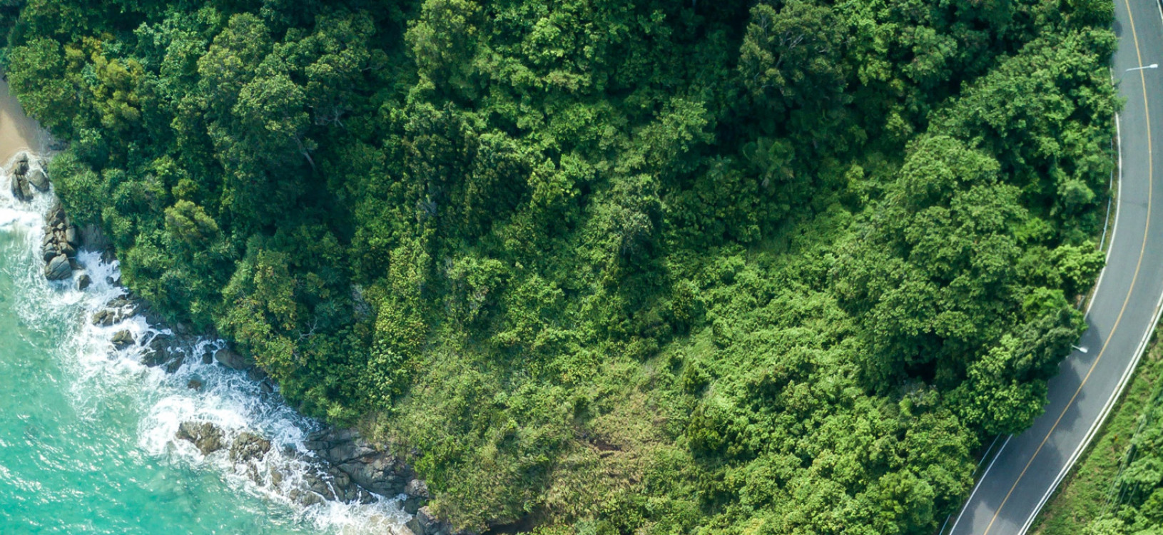 A Sustentabilidade está na nossa <strong>Natureza</strong>